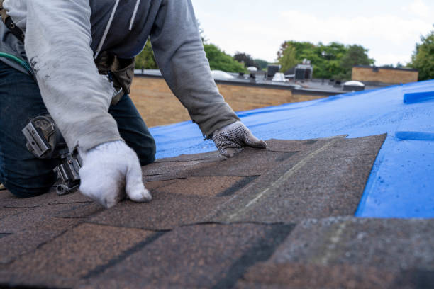 Best Roof Leak Repair  in South Haven, MI